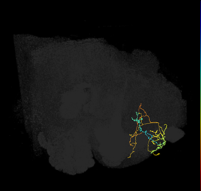 ADM04n_a_pct(aSP23a)_R