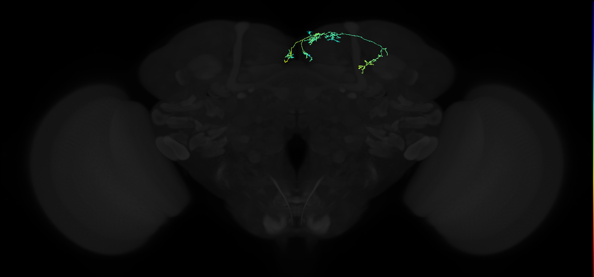ADM04n_a_pct(aSP23a)_R
