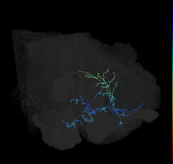 ADL12j_pct_R