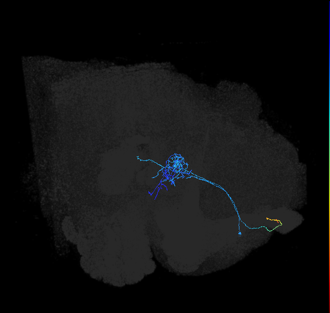 ADL14m_a_pct_R