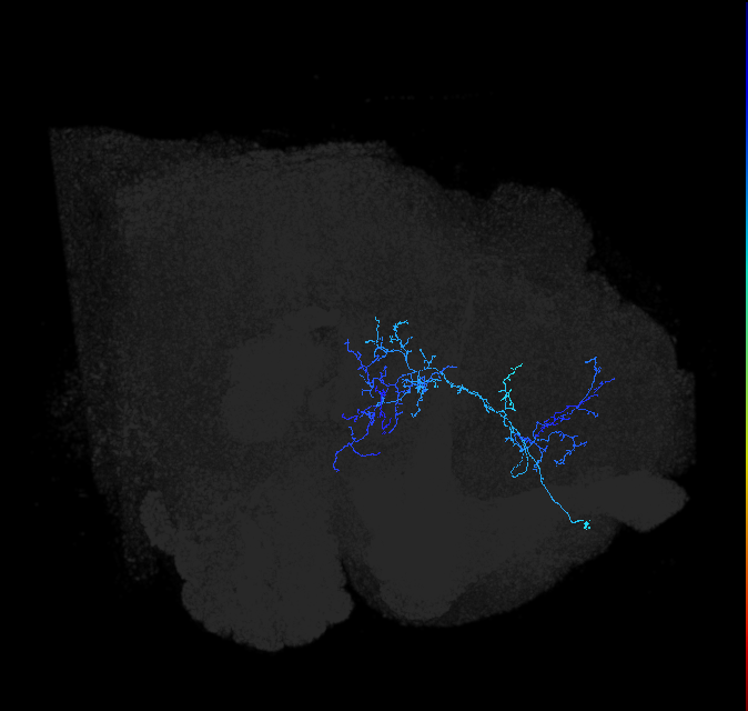 ADL14k_pct_R