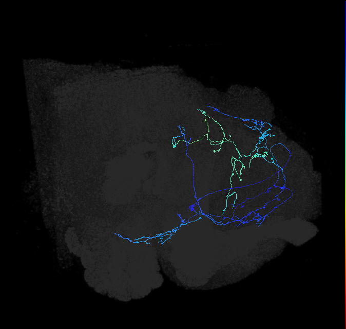 ADL07e_pct_R