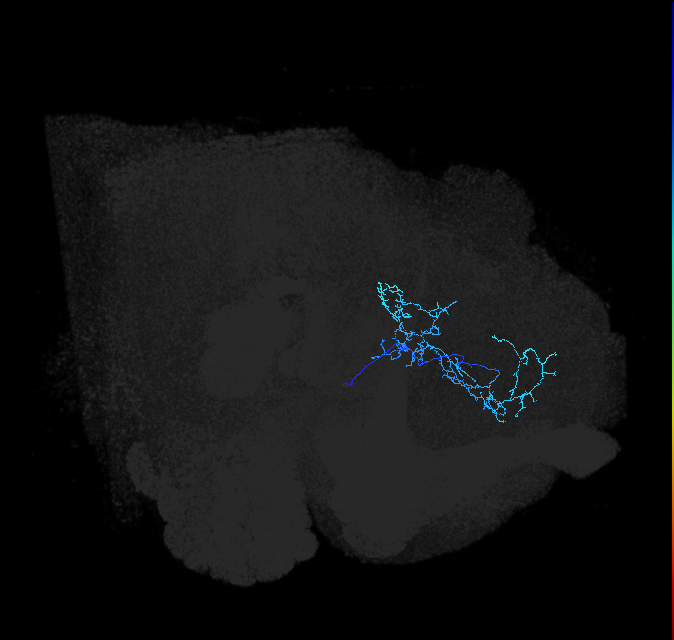 ADL04w_pct_R
