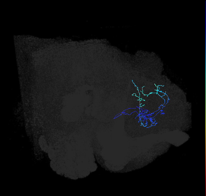 ADL01r_pct_R