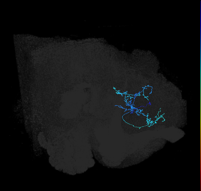 ADL02og_pct(pSP3b)_R