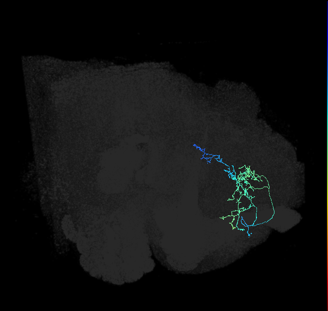 ADL14a_pct_R