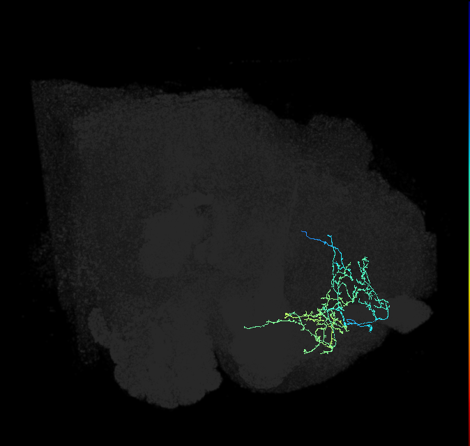 ADL14v_pct_R