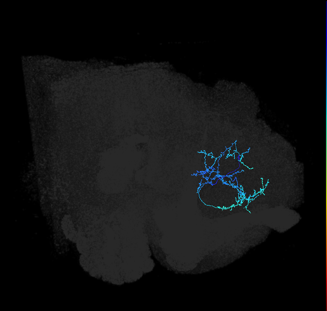 ADL02og_pct(pSP3b)_R