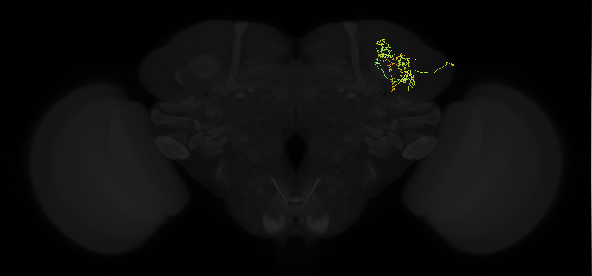 ADL02og_pct(pSP3b)_R