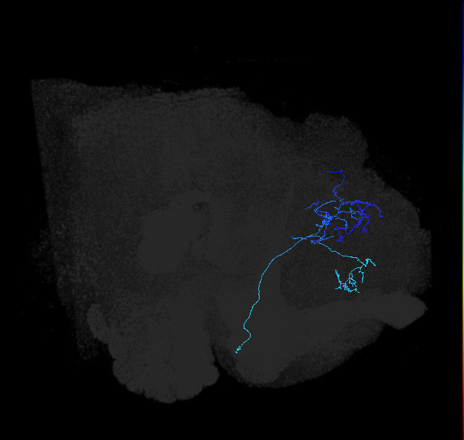ADL19a_pct_R