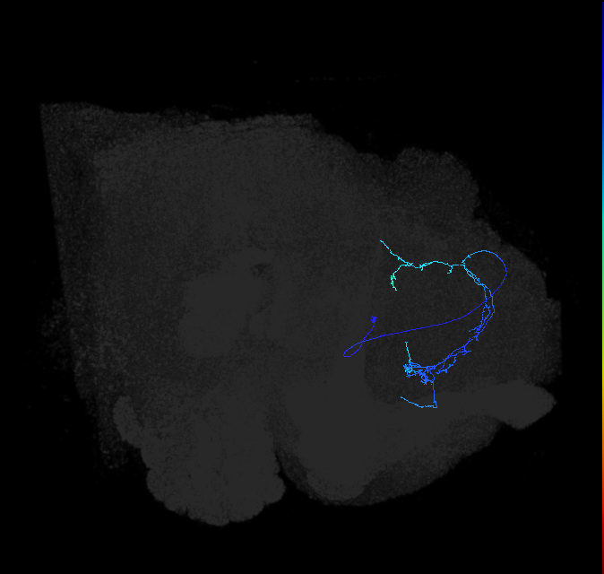 ADL07h_pct_R