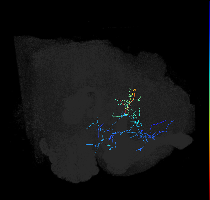 ADL12ok_pct_R