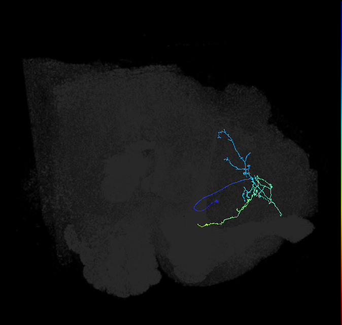 ADL09h_pct_R