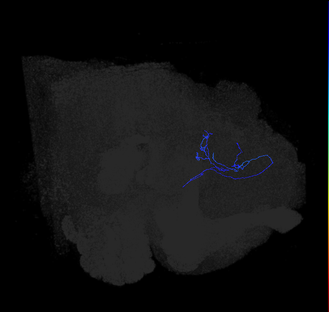 ADL01p_pct_R