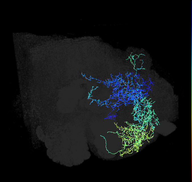 ADL16r_pct_R