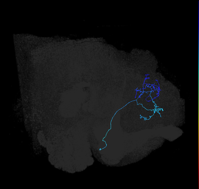 ADL19a_pct_R