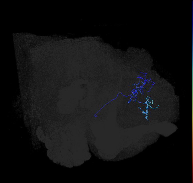 ADL04oc_pct_R