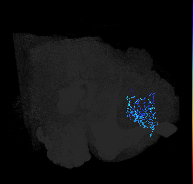 ADL14t_pct_R