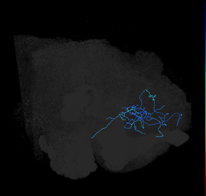 ADL18i_pct_R