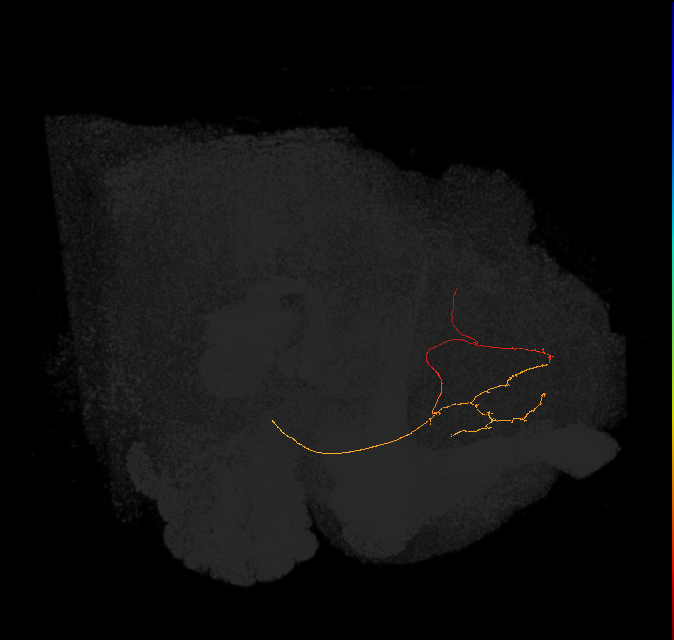 (PDM15)_L