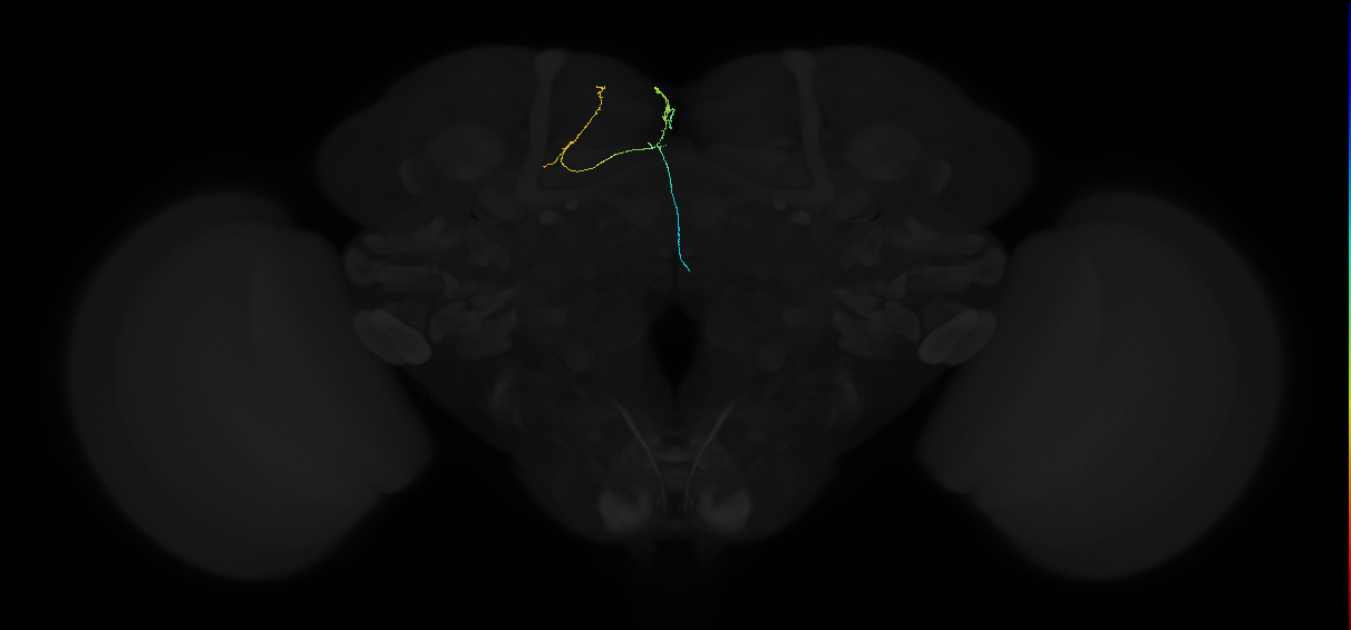 (PDM15)_L