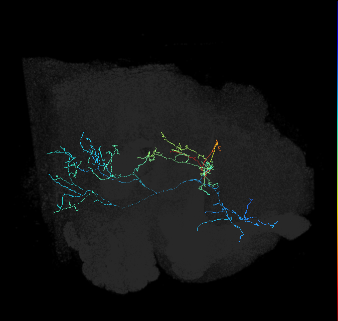 ADL12m_pct_R