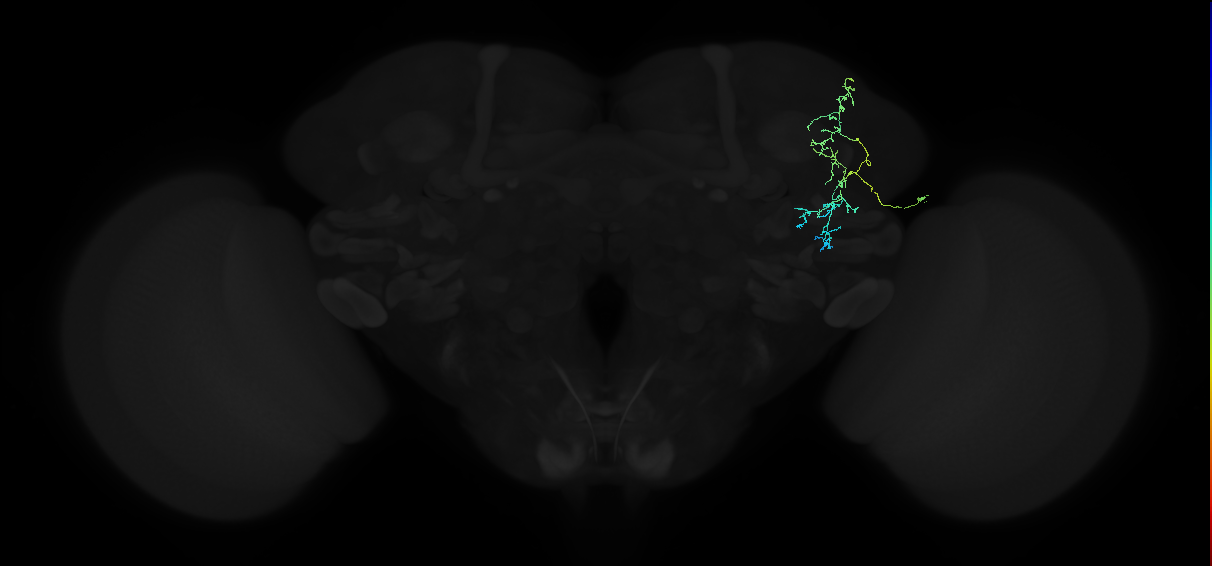 ADL22f_b_pct_R