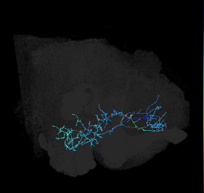 ADL03f_pct_R