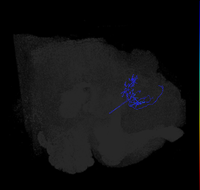 ADL05w_c_pct_R