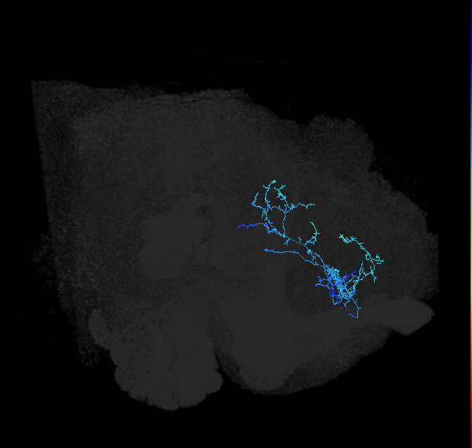 ADL18w_pct_R