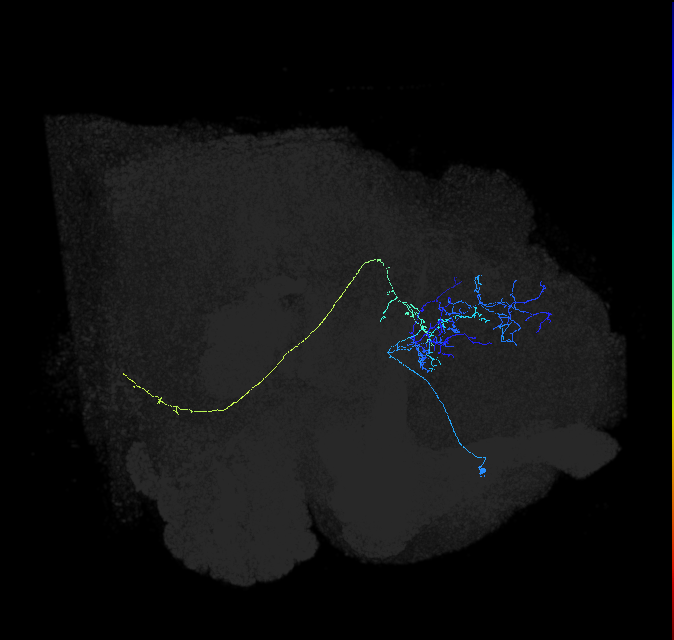 ADL12b_pct_R