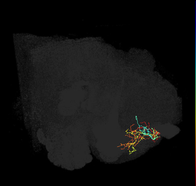 ADL12y_pct(ADL12)_L