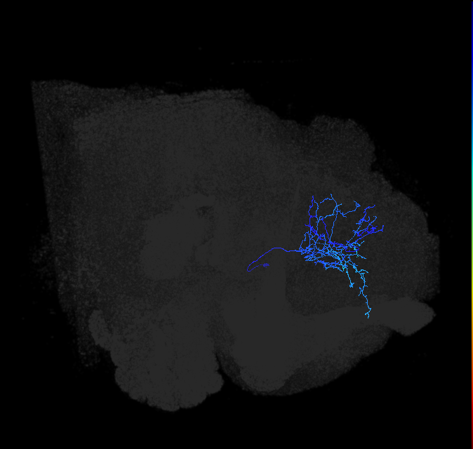 ADL22h_pct_R