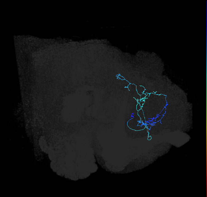 ADL02s_pct_R