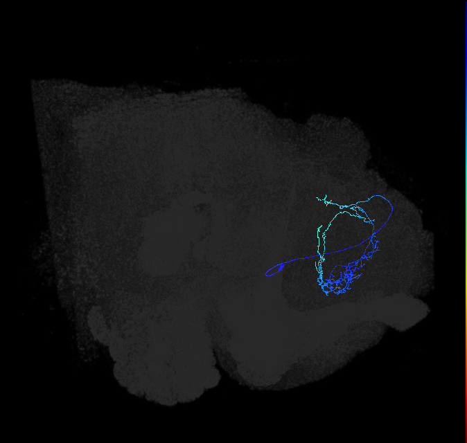 ADL07h_pct_R