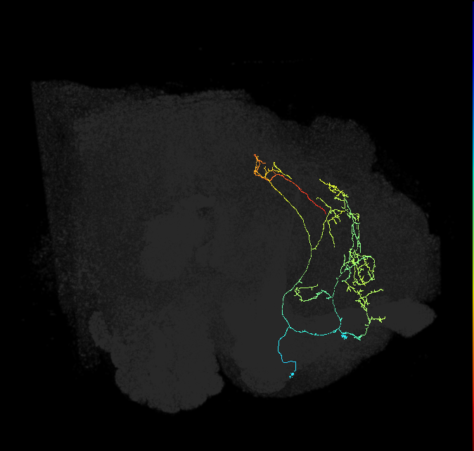 ADL08n_c_pct_R