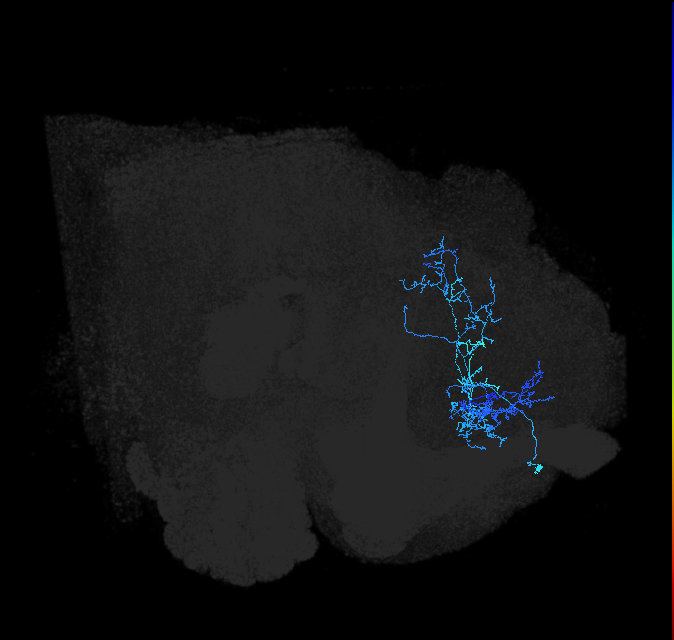 ADL14d_pct_R