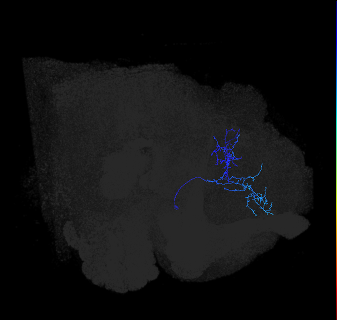 ADL22d_a_pct_R