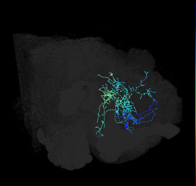 ADL25g_pct_R
