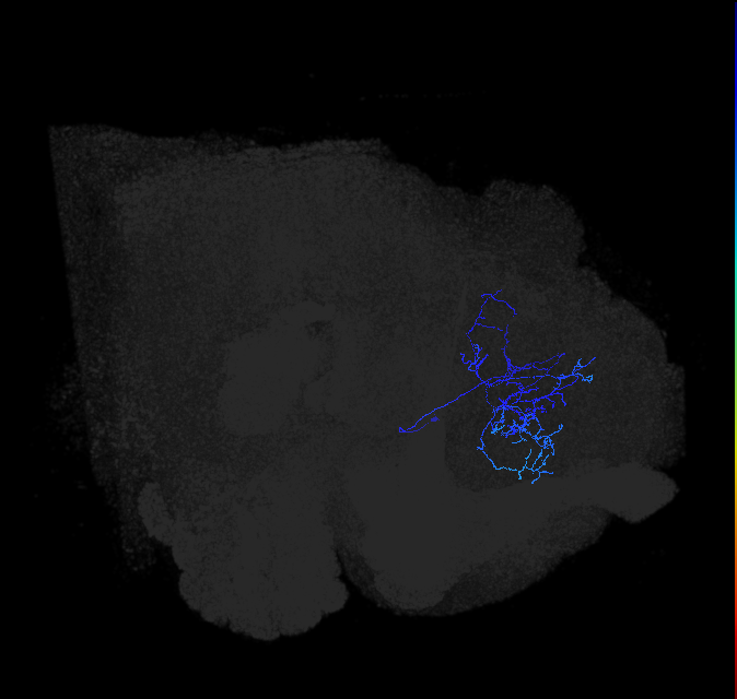 ADL11b_pct_R
