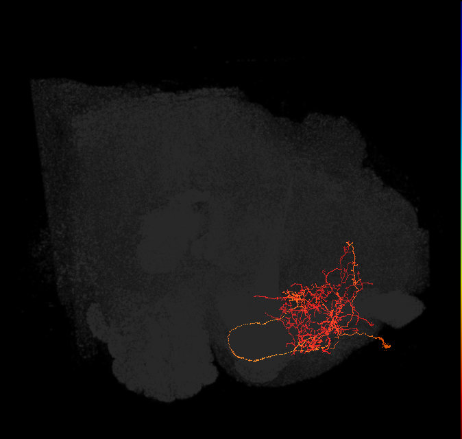 ADM01le_pct(ADM01)_L