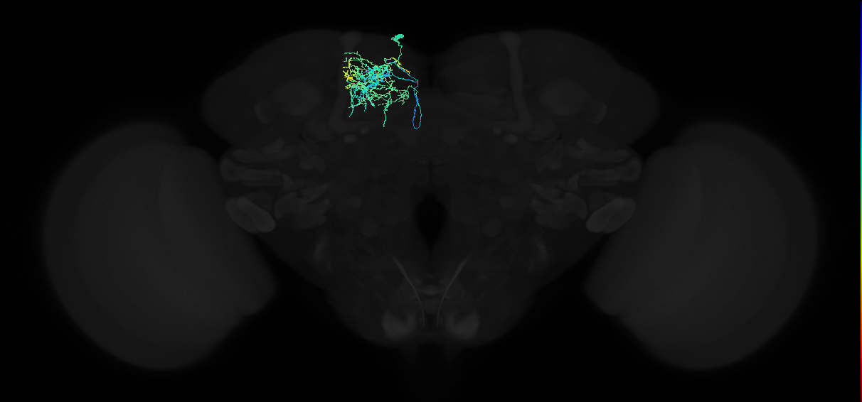 ADM01le_pct(ADM01)_L