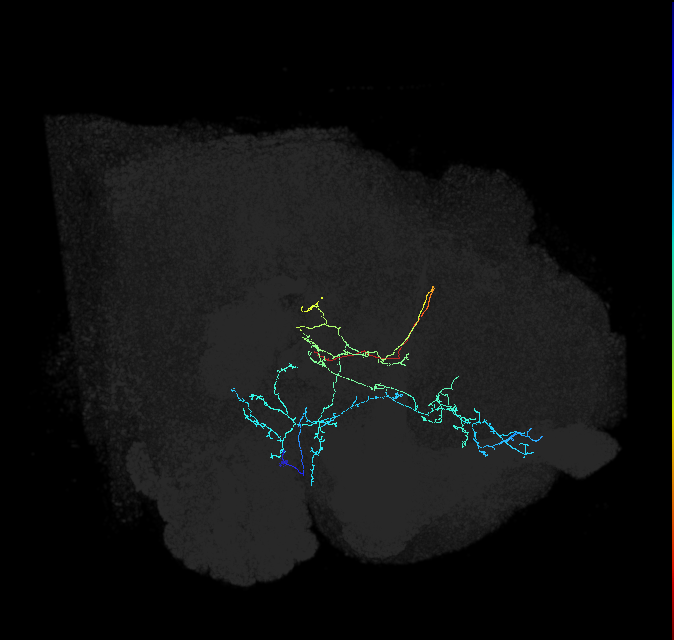 AVL03k_b_pct_R