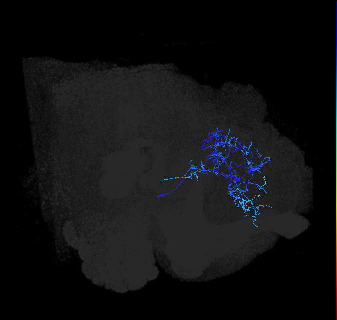 ADL04q_pct_R