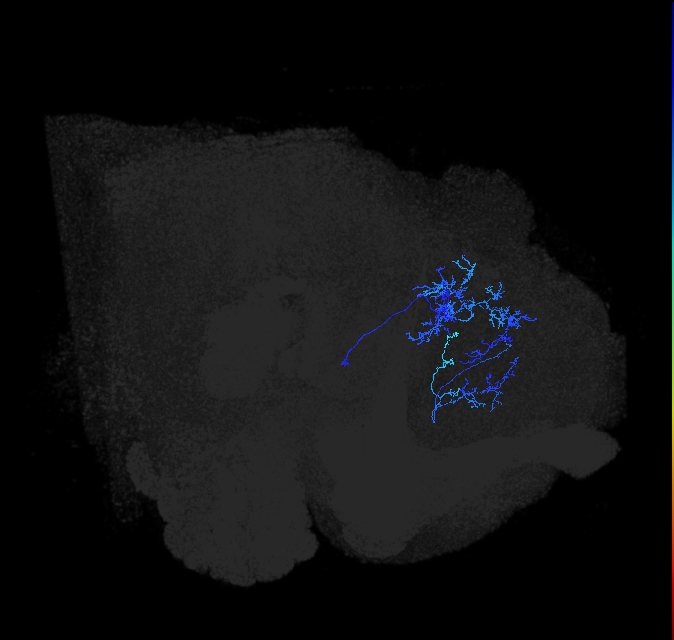 ADL10a_pct_R