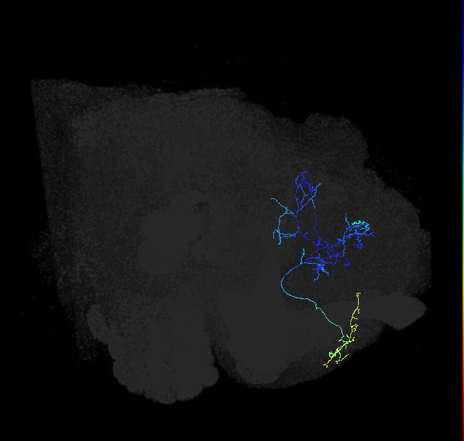 ADL15p_b_pct_R