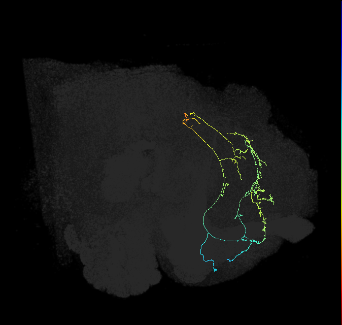 ADL08n_c_pct_R