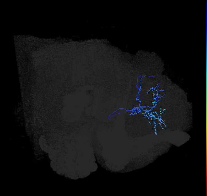 ADL22j_pct_R