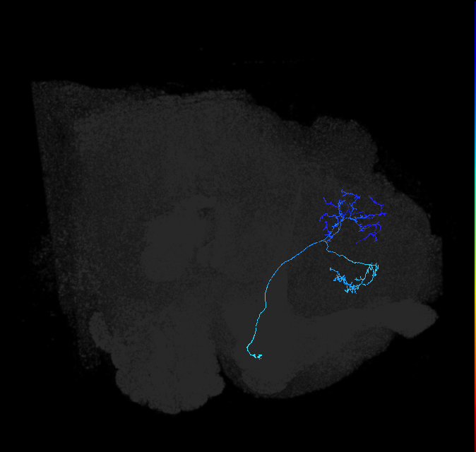 ADL19a_pct_R