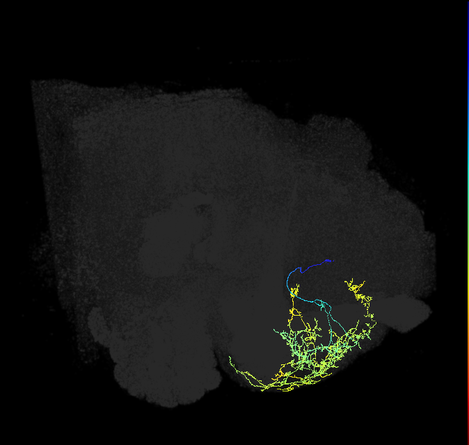ADL15b_pct_R